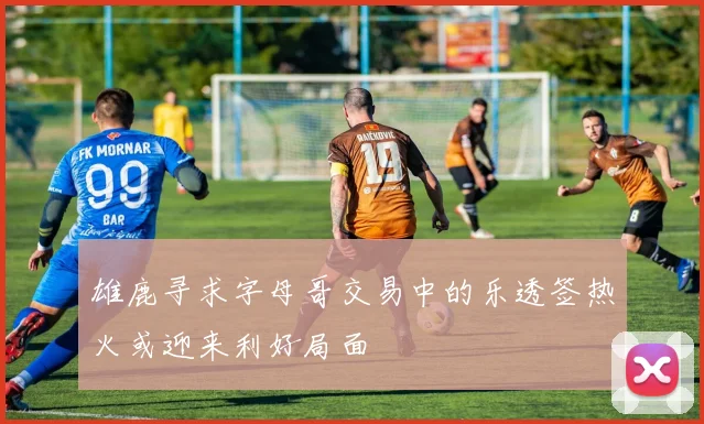 雄鹿寻求字母哥交易中的乐透签热火或迎来利好局面